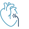 Elektrophysiologie