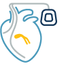 Elektrophysiologie